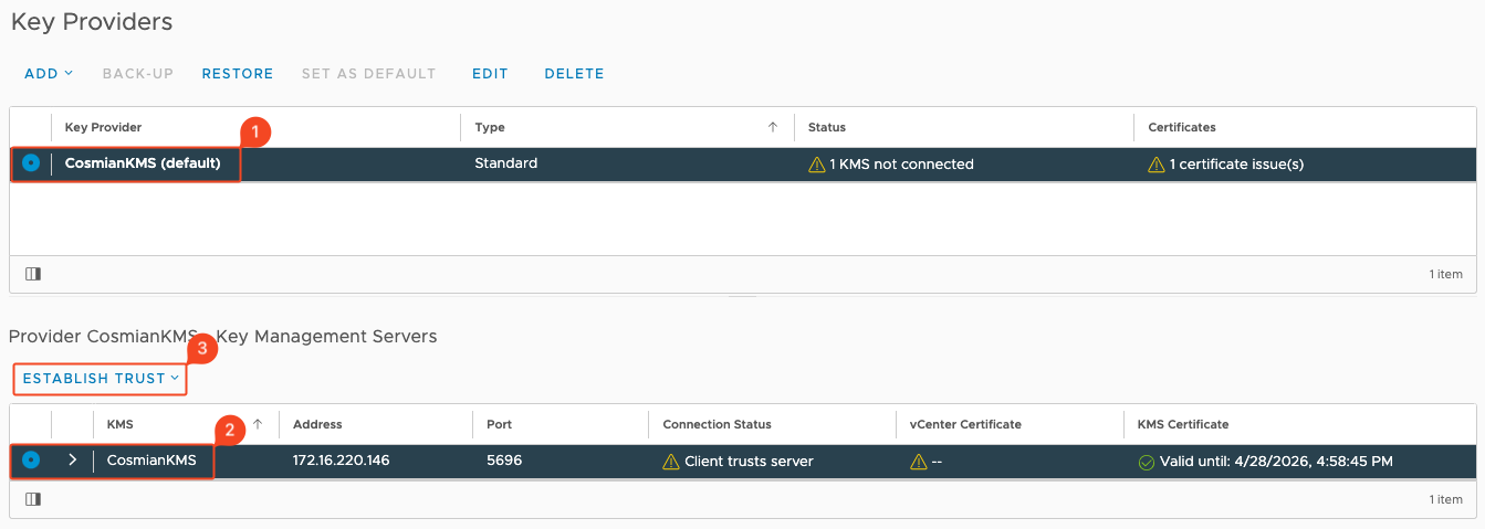 Step 5 - Set your Cosmian KMS 