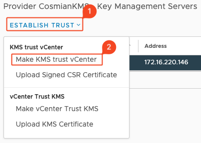 Step 5 - Set your Cosmian KMS 
