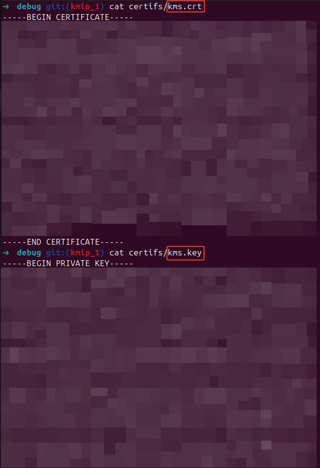 Step 6 - Get KMS certificates 