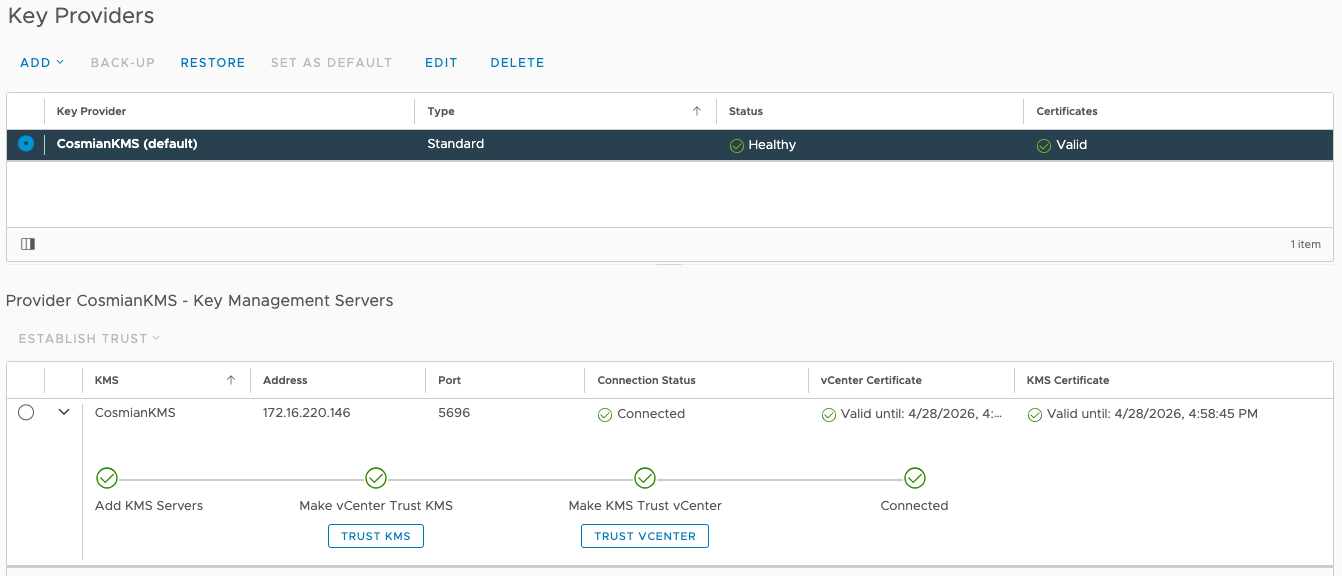 Step 8 - Set your Cosmian KMS 